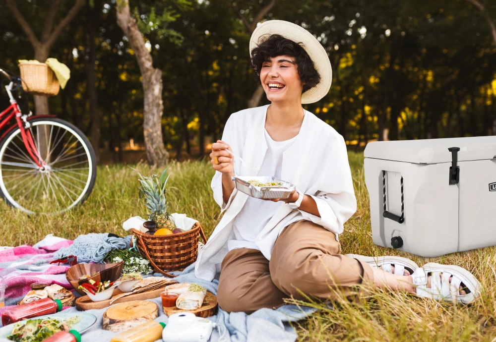 portable car cooler box