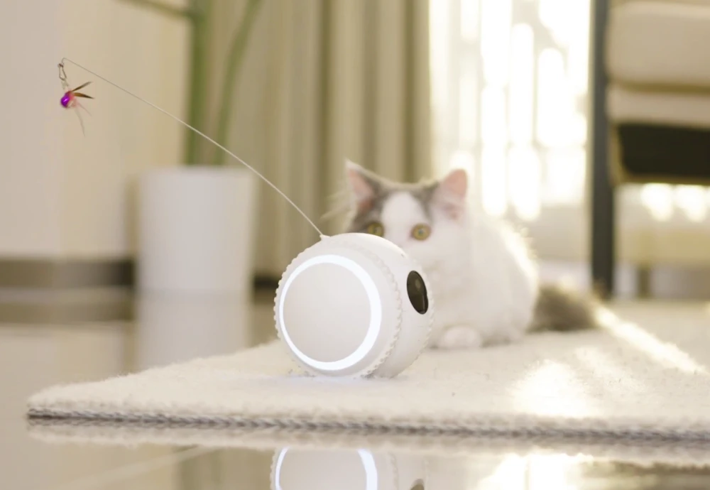 best in home cameras for pets