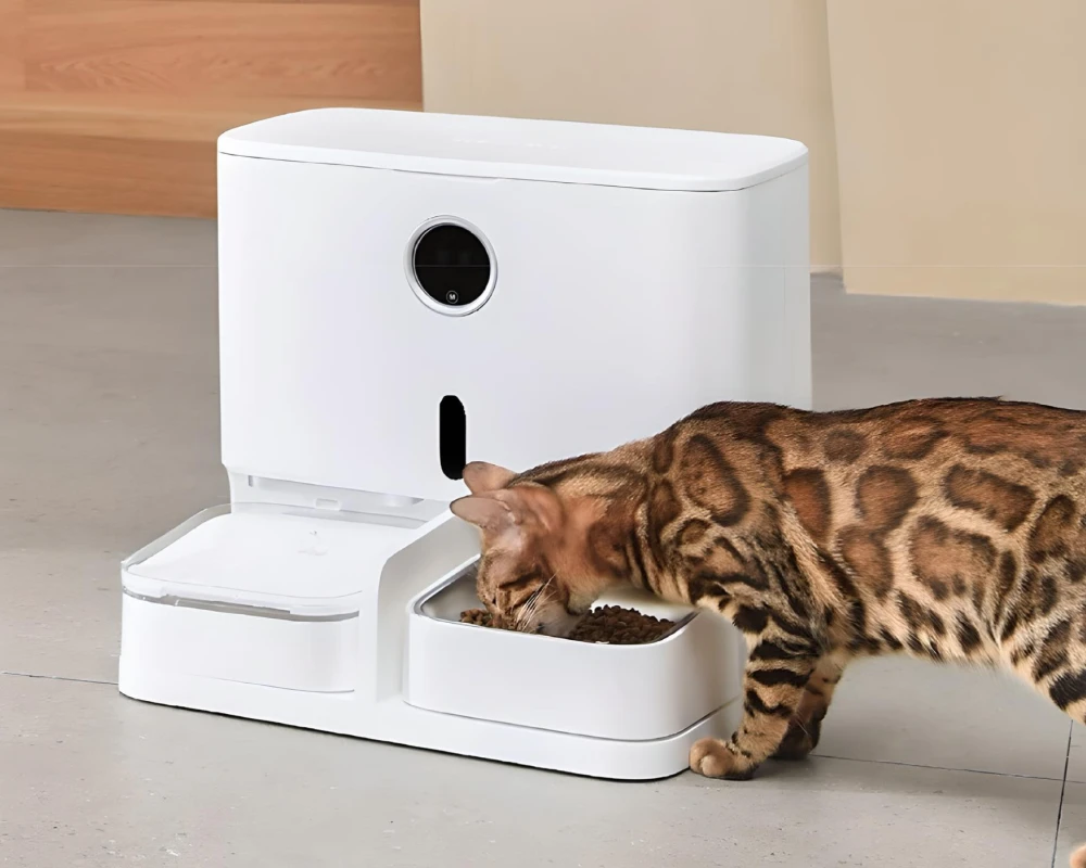 top pets automatic feeder