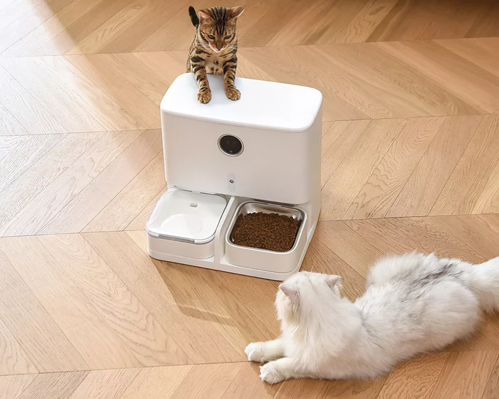 auto pet food dispenser