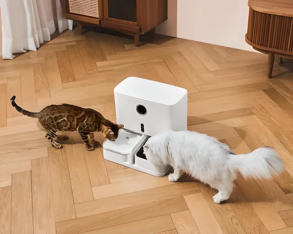 auto pet food dispenser